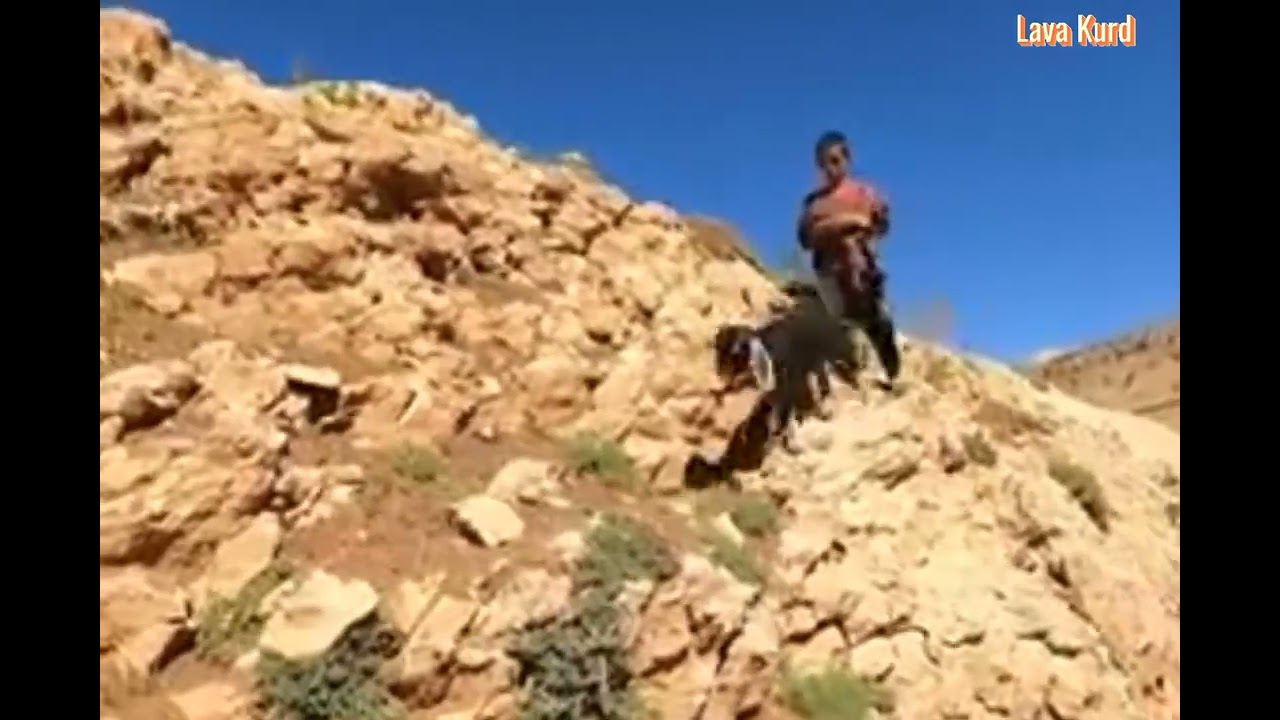 Dengbêj Heqqê .... صوت الفنان حقي  مع البيئة القروية
