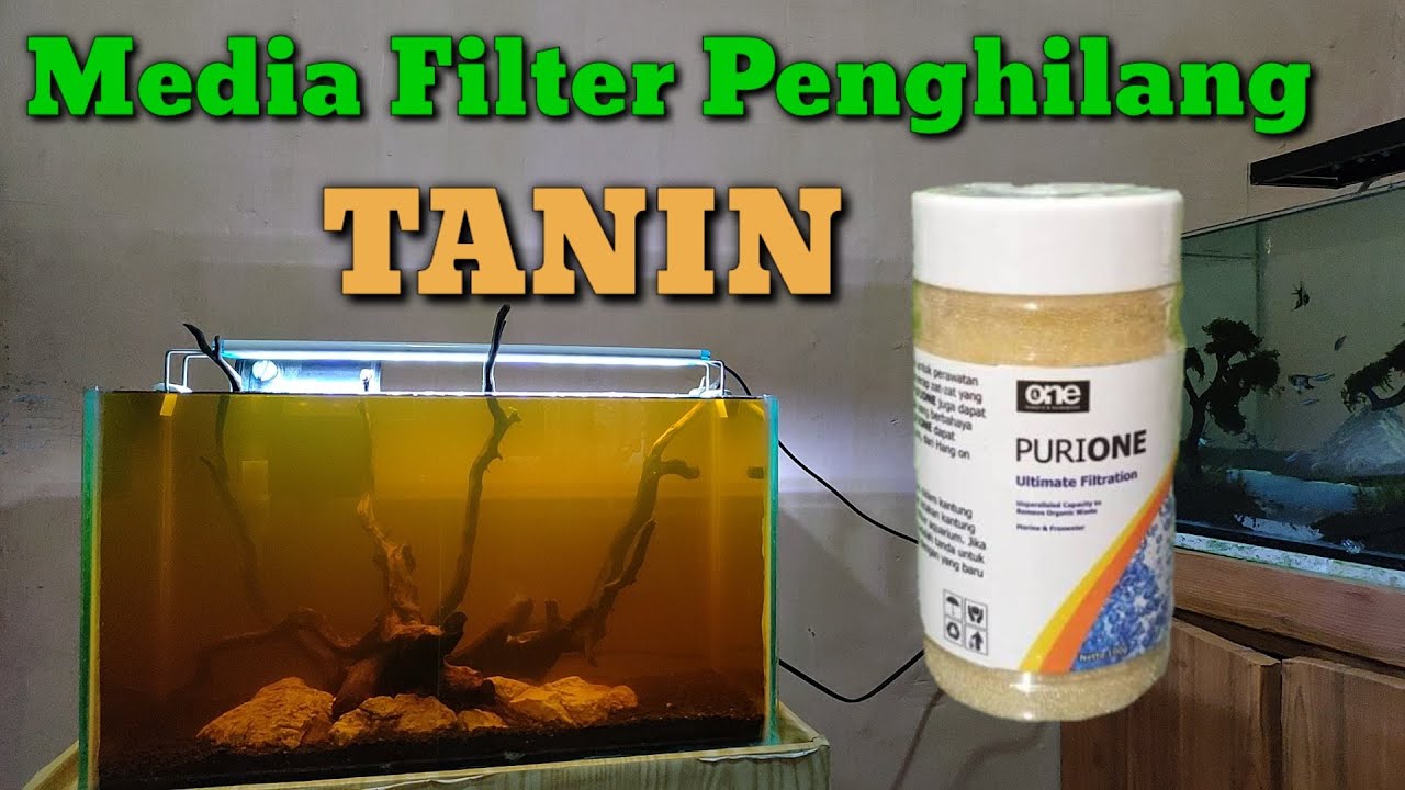Cara Menghilangkan TANIN Pada Aquascape