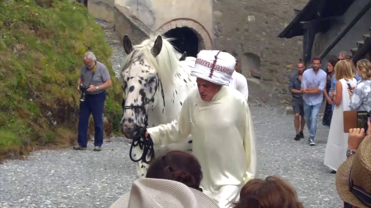 Artist Not Vital Weds Horse in his Castle