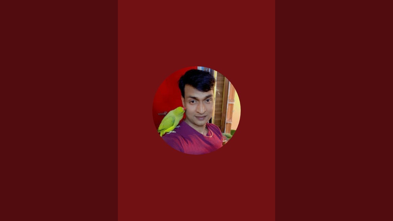 Umeshyadav is live ringneck parrot live stream 🦜🦜🦜