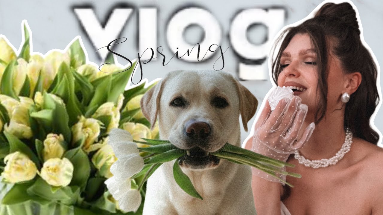VLOG|Неделя со мной|Рецепт нежнейшей запеканки|Покупки для Тайлера|Одежда с примеркой|WILDBERRIES 🛍️