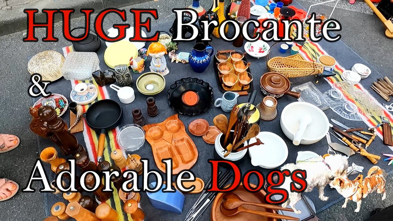 MEGA Brocante in Brussels 🇧🇪 Rare Finds & Cute Dogs ❤️ Come Thrift with me!
