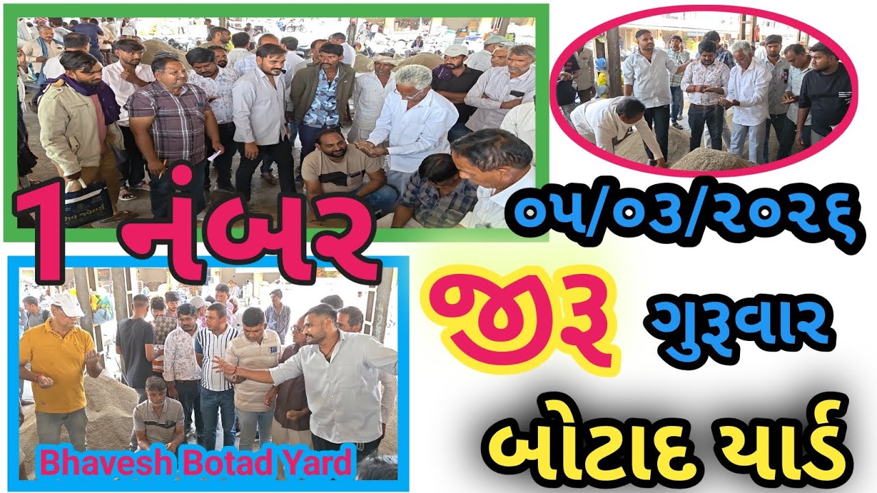 જીરૂ 1 નંબર બોટાદ માર્કેટિંગ યાર્ડ 05/03/2026 ||Botad Marketing Yard || #bhaveshbotadyard