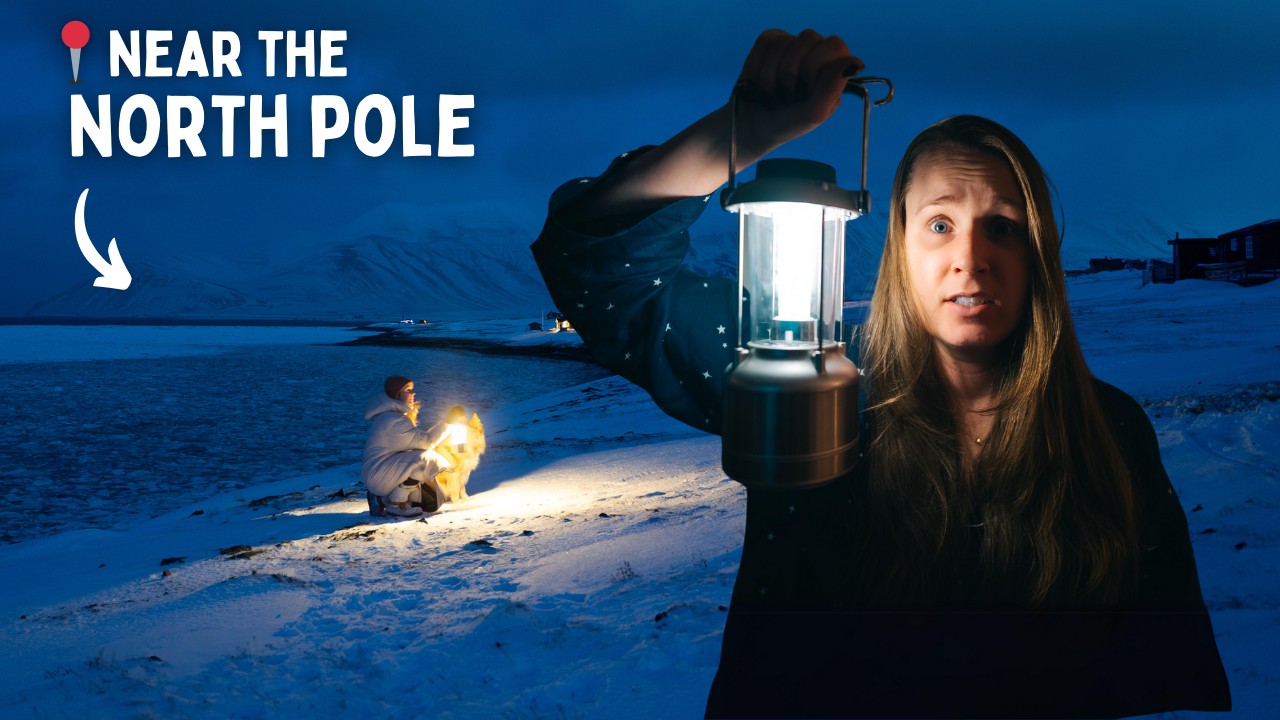 What a YEAR looks like on Svalbard, an island close to the North Pole︱January  ➡️  December