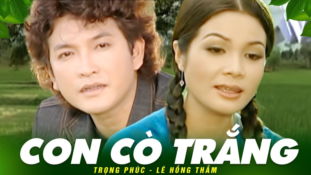 CON C&Ograve; TRẮNG (t&acirc;n cổ) - Trọng Ph&uacute;c ft L&ecirc; Hồng Thắm | Official Music Video
