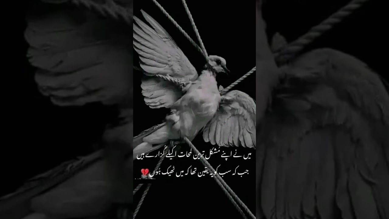 #sadpoetry 💔🥹🥀💔#urdudeeplines #saddeeplines