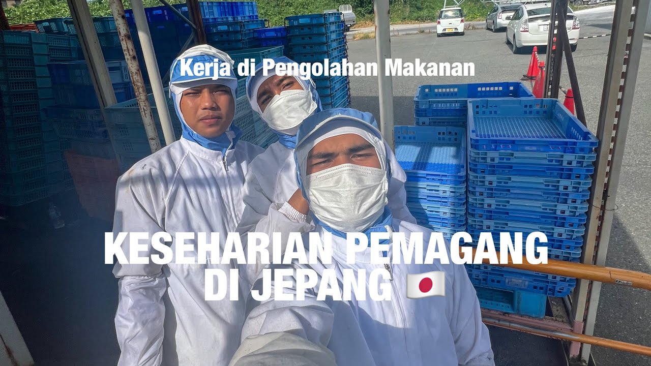 KERJA DI PENGOLAHAN MAKANAN DI JEPANG, KESEHARIAN PEMAGANG DI JEPANG