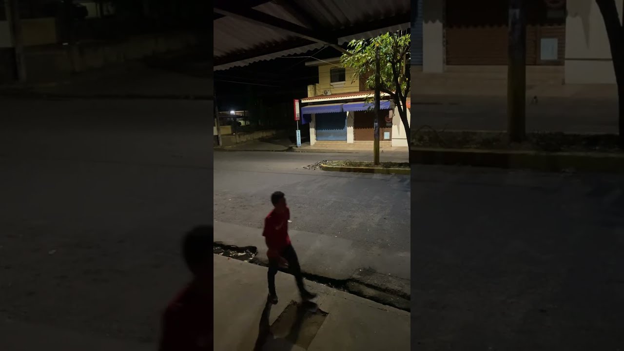 Cucolandia parte 2 interferencia cucos