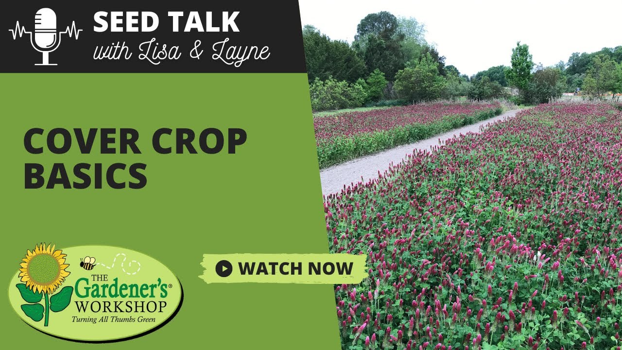 Seed Talk #87 — Основы покровных культур