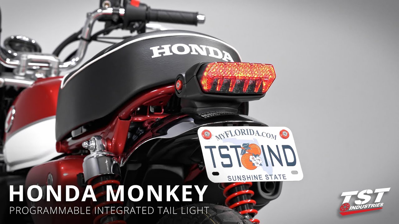 How to install a Programmable Integrated Tail Light on a 2019+ Honda Monkey by TST Industries