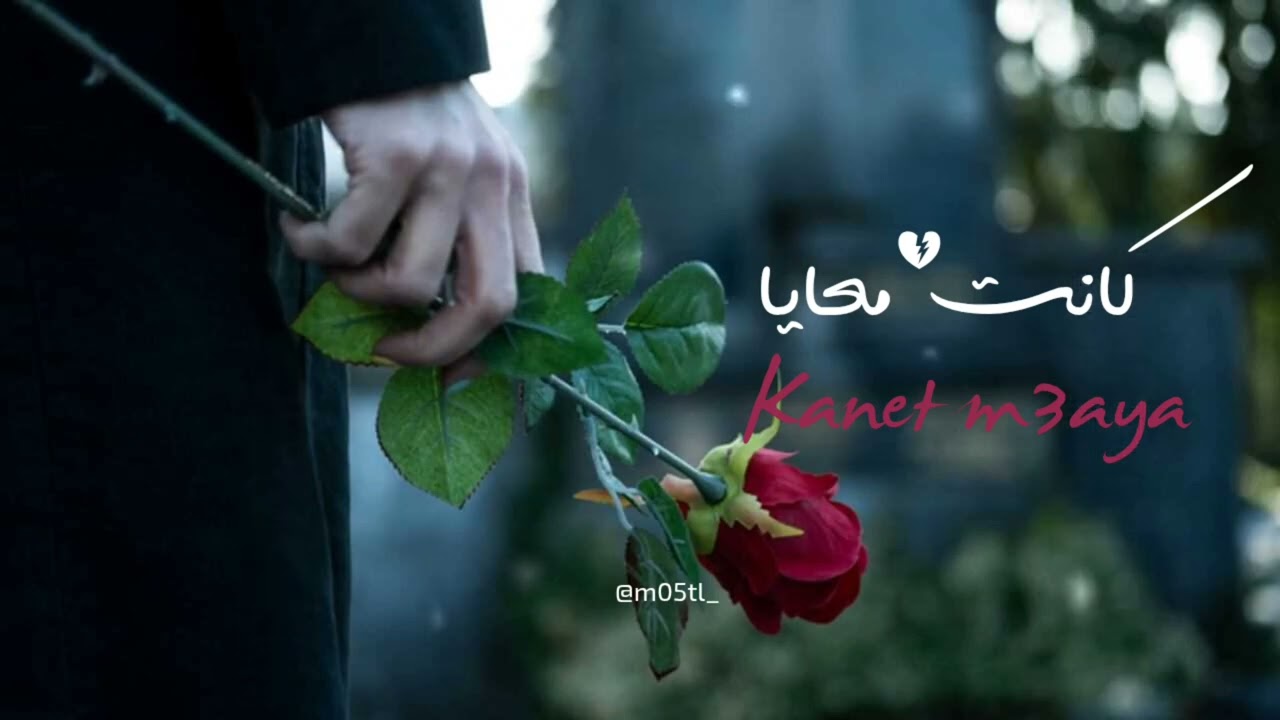  Kanet M3aya | - كانت معايا ( Ai Music ) by : @m5tl_official