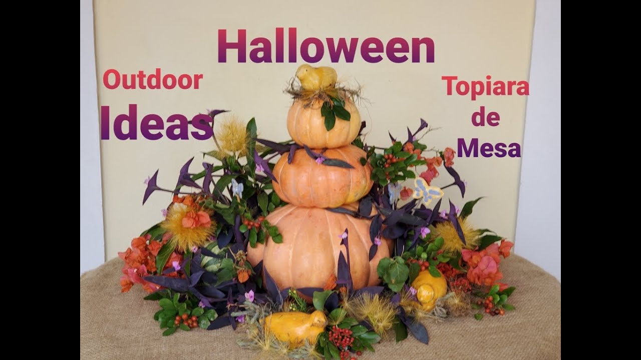 #Shorts DIY Arranjo Outdoor. Topiara de Mesa com Morangas. Fall and  Halloween Ideas.