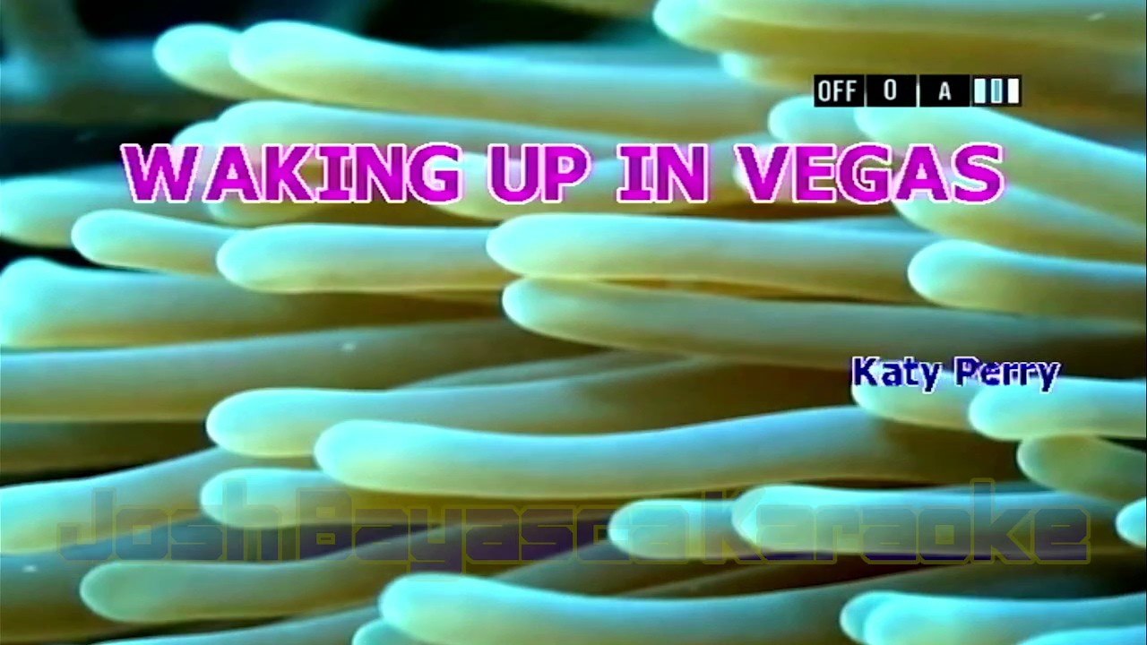 (12462) Waking Up in Vegas by Katy Perry | Premier-98sd Karaoke