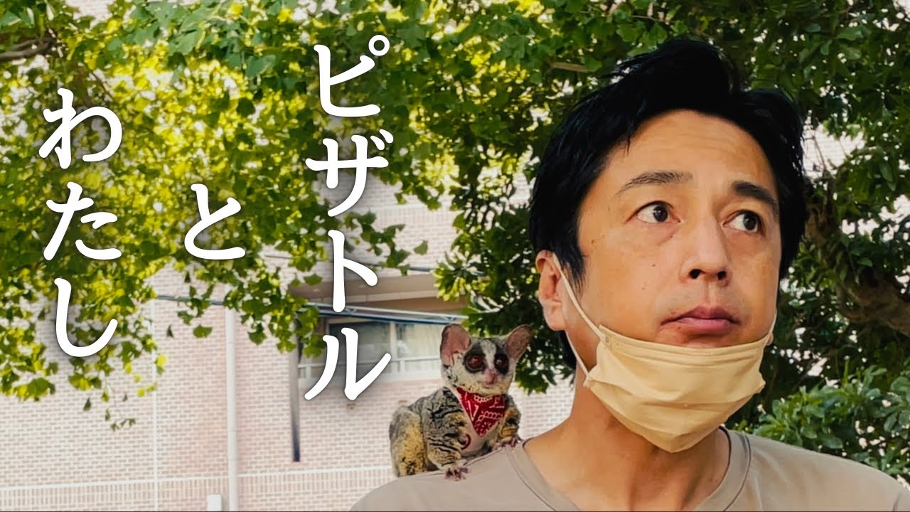 ピザトルとわたし
