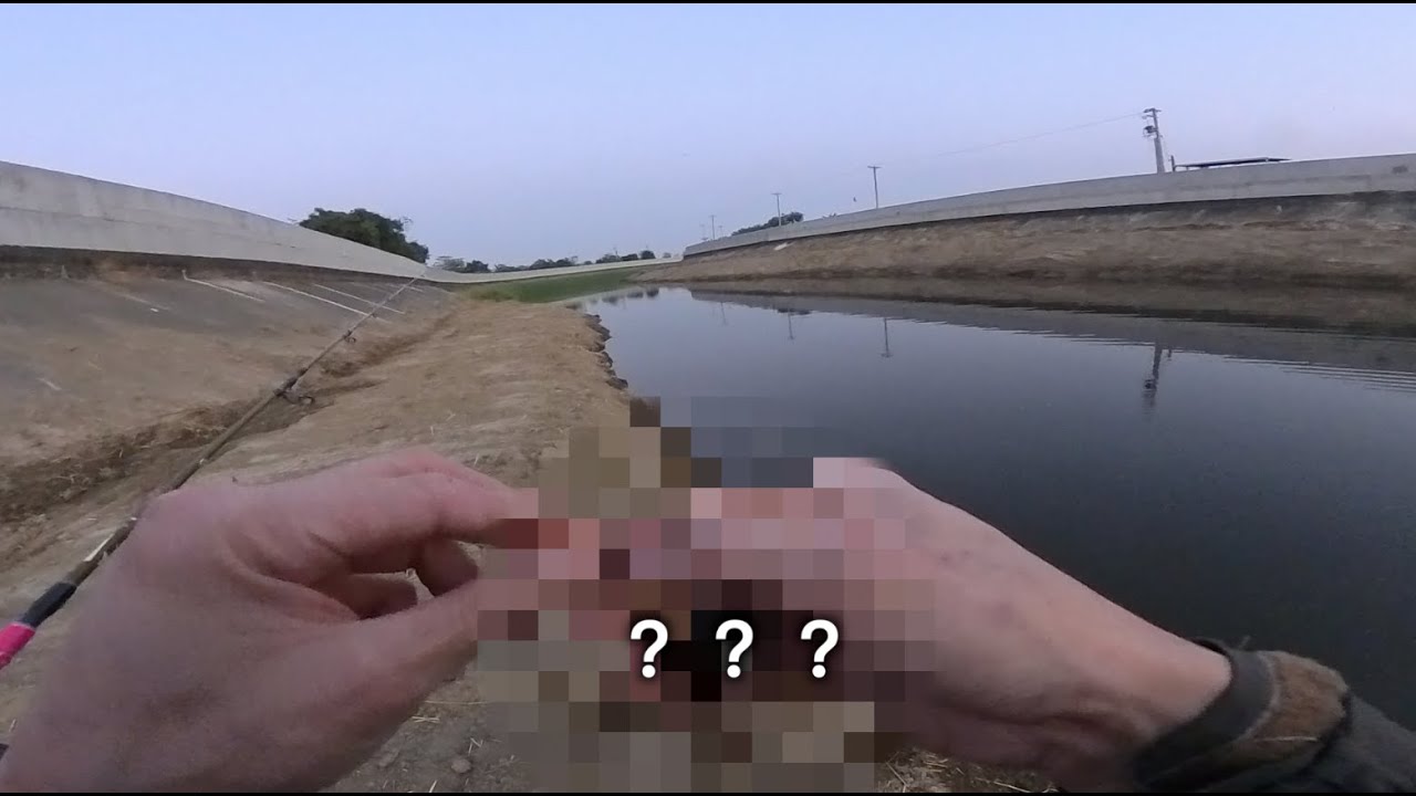 神奇木頭餌！？魚咬到飛起來超爽！！水表炸裂