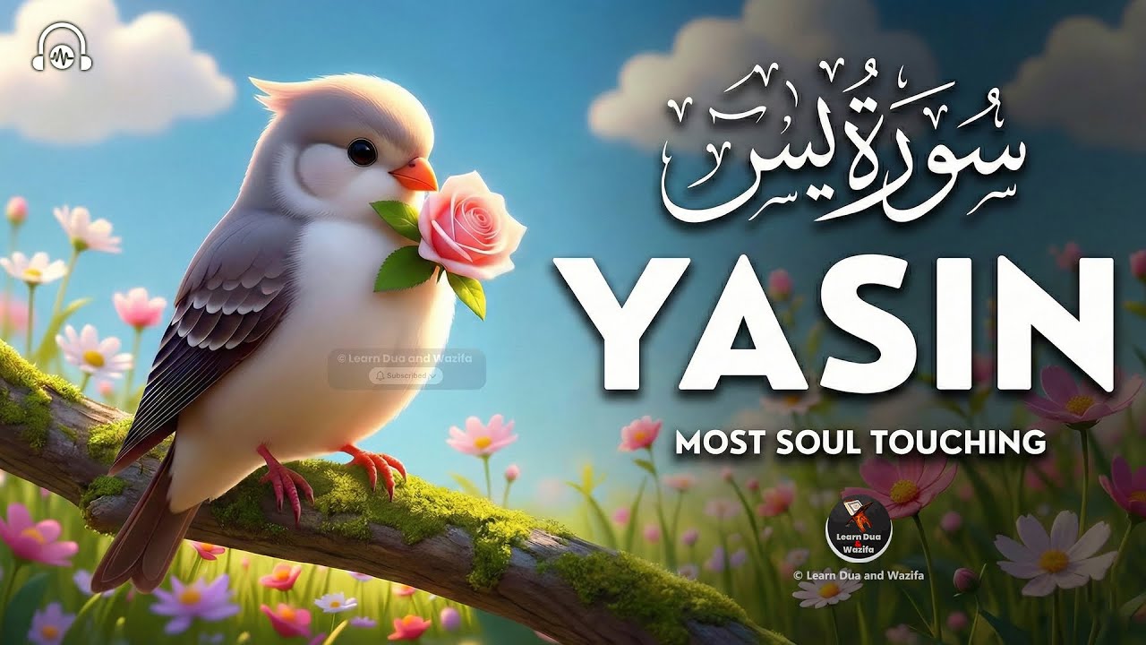 Surah Yaseen Full | Yasin Dua | Surah Rahman, Mulk, Qul Sharif, Ayatul Kursi | Episode - 053