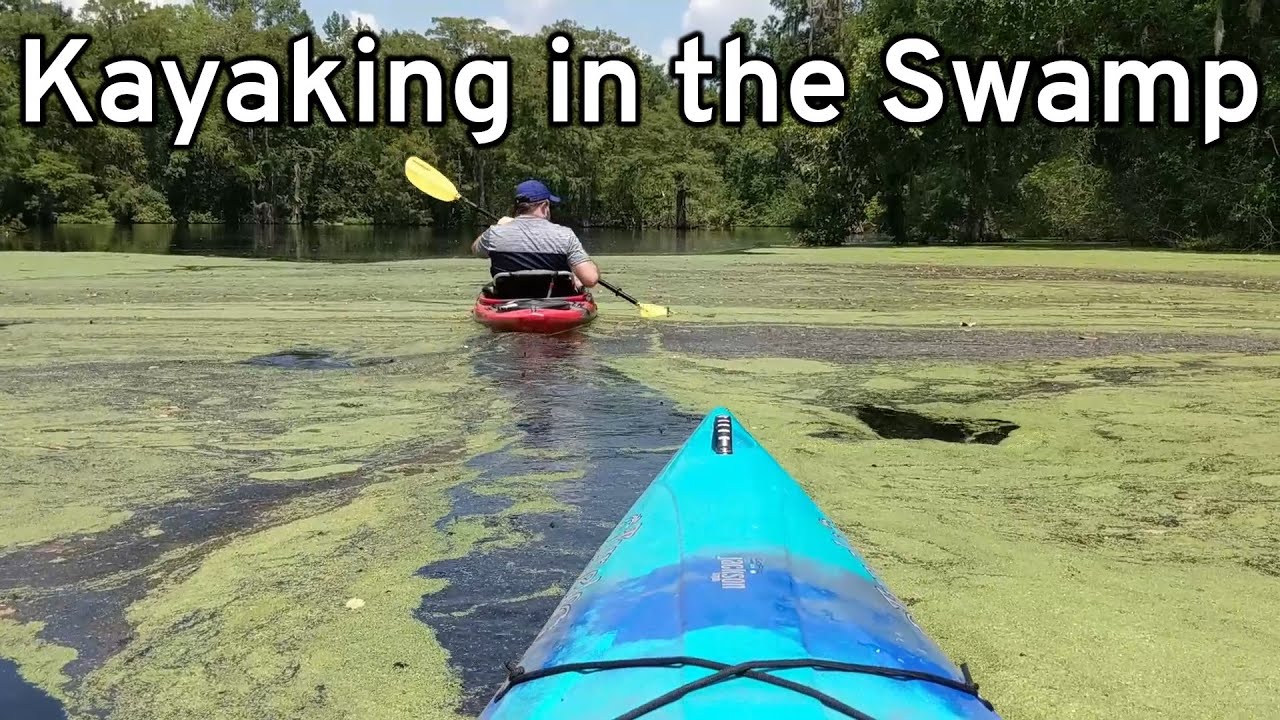 Paddling on 2 O'Clock Bayou (Louisiana swamp)