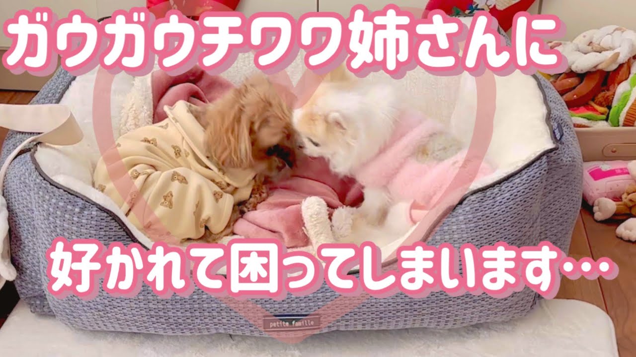 今年も１年ありがとうございました！！