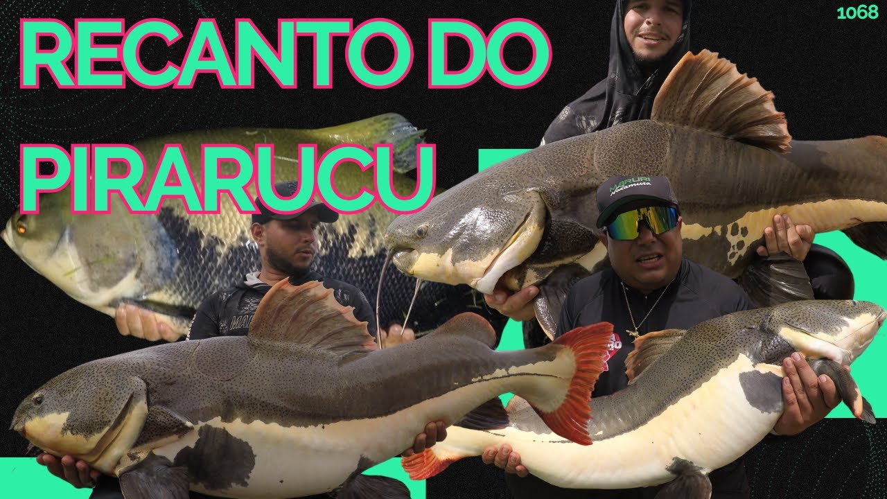 PIRARARAS GIGANTES E O NOVO PIRARUCU PARK HOTEL em Itapuranga - Fishingtur 1068