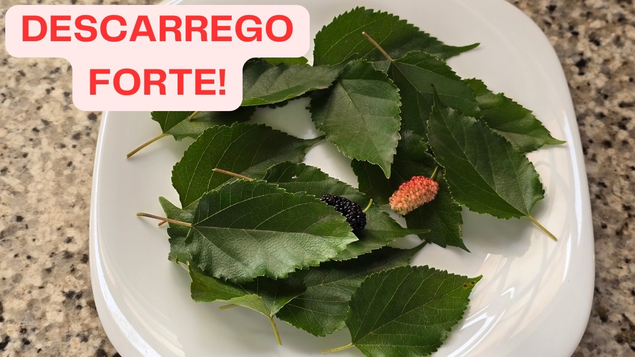 Voc&ecirc; Est&aacute; Perdendo Tempo com Banhos de Descarrego Ineficazes? Descubra o Segredo!