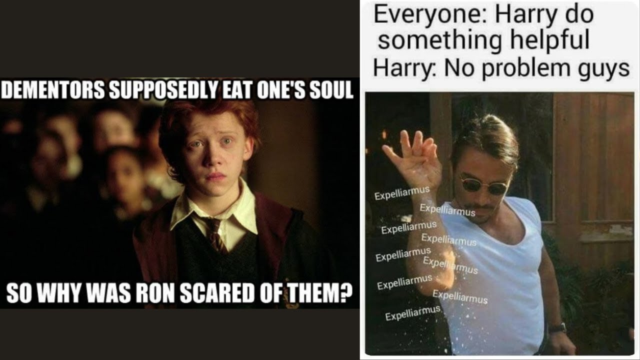Harry Potter funny memes only true fans can understand | HP funny memes || Harry Potter memes || @LR