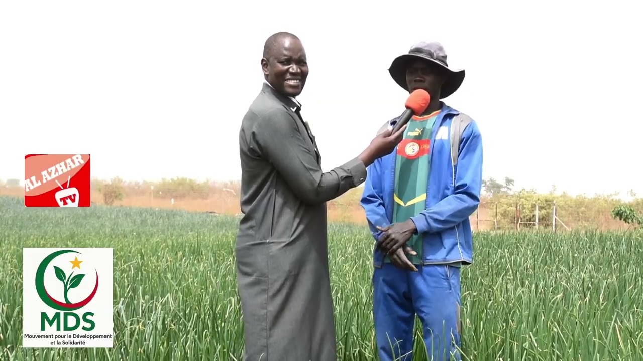 Suivi des finance meets MDS, les femmes bayti Ndiaye à ľèpreuve.