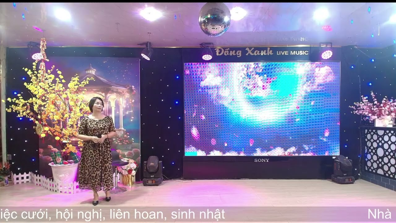 Như Đã Dấu Yêu  - Thư Tâm "Đồng Xanh Restaurant Live Music 01/2026