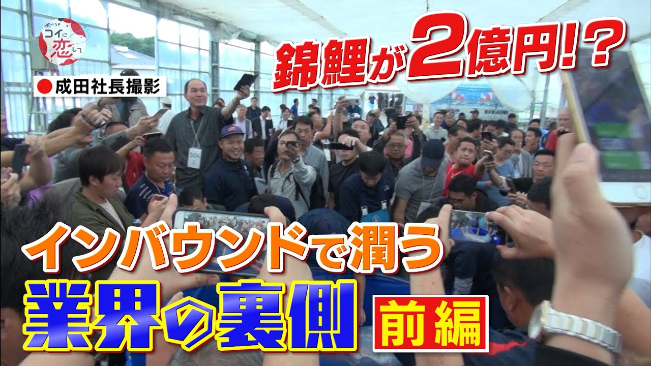【2億円のニシキゴイ！？①】海外富裕層のお目当ては２億円の錦鯉！？　「コイに恋して」ドキュメンタリー