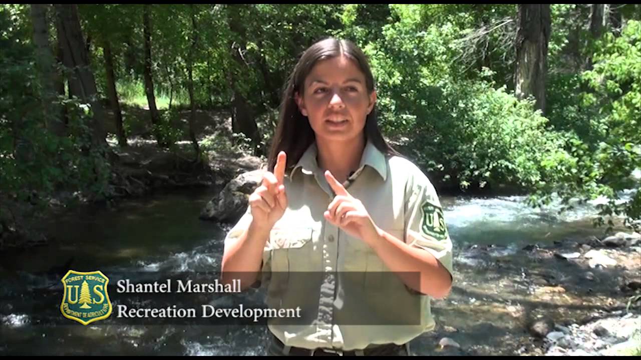 Working for the Uinta-Wasatch-Cache National Forest
