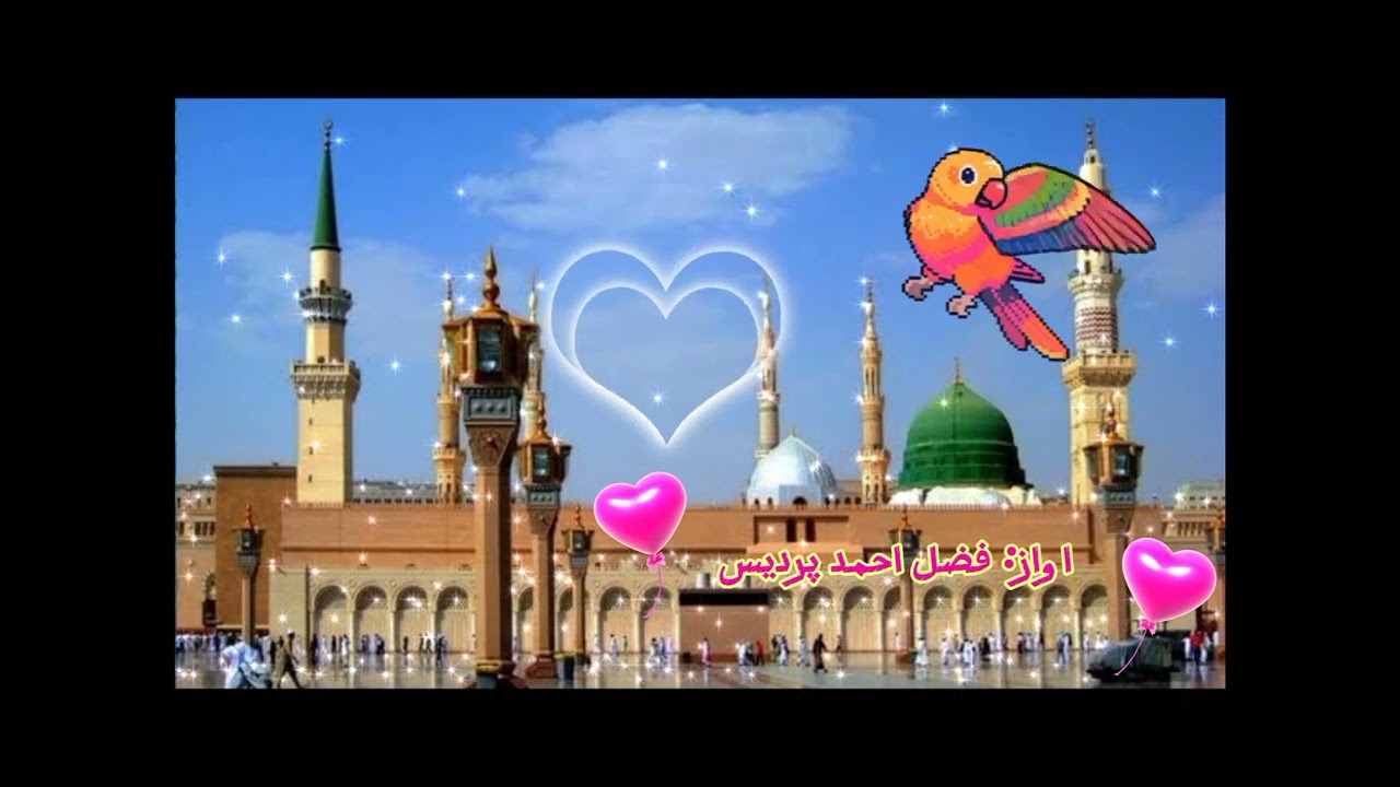 مامي سترګي ستا روضې ته اړولای / د خمار تنده مي هلته ماتولای / ښکلی نبوي نعت / فضل احمد پردیس 🙏 