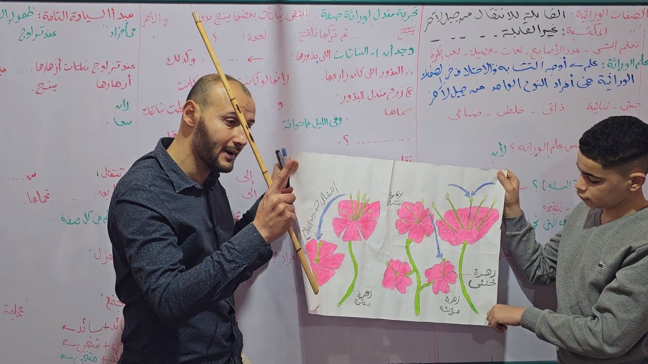 المبادئ الأساسية للوراثة ج الأول ❤️‍🔥❤️‍🔥 علوم تالتة إعدادي #أحمد_عطية