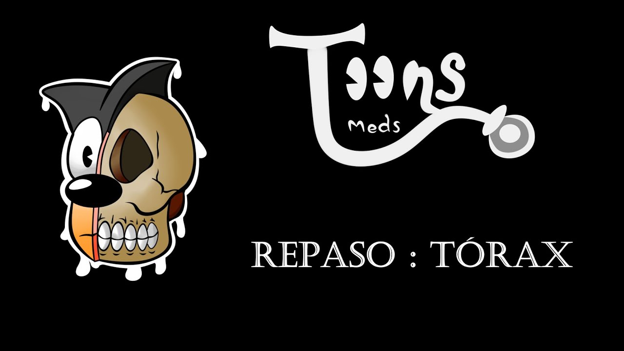 Repaso: Tórax 1 Caja Toracica (Vertebras,costillas y esternon) ANATOMÍA FACIL medicina primer año