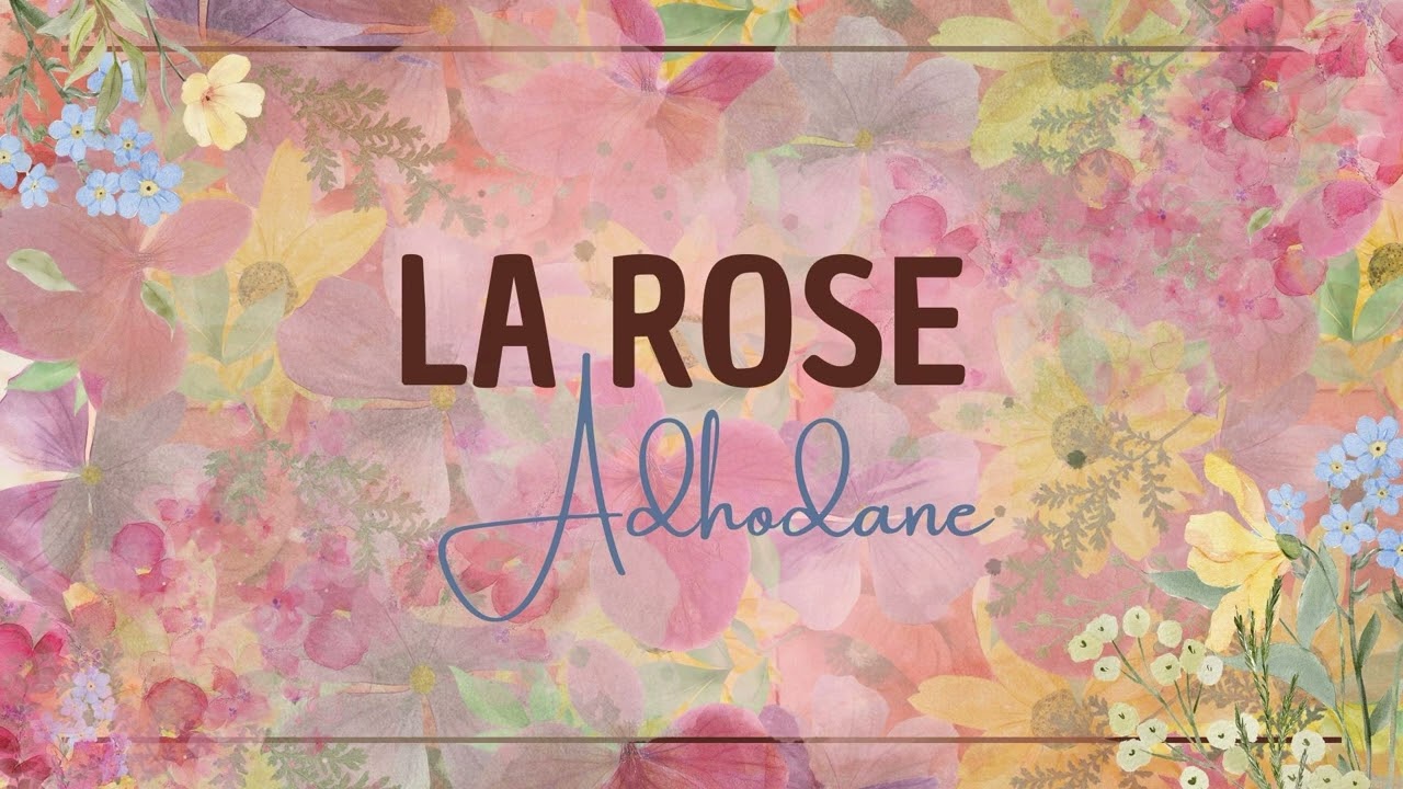 Je m'en vais cueillir la rose - Mazurka - Accordéon diatonique, violons et guitares