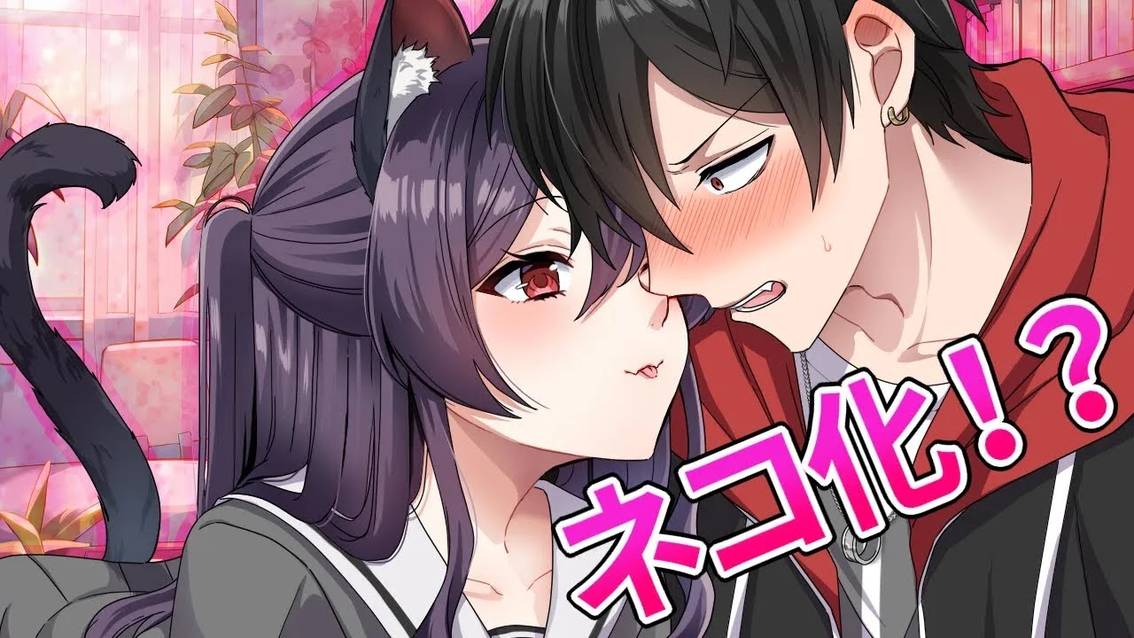 【アニメ】ねこ化したらどうなるのか？【総集編】【漫画動画】