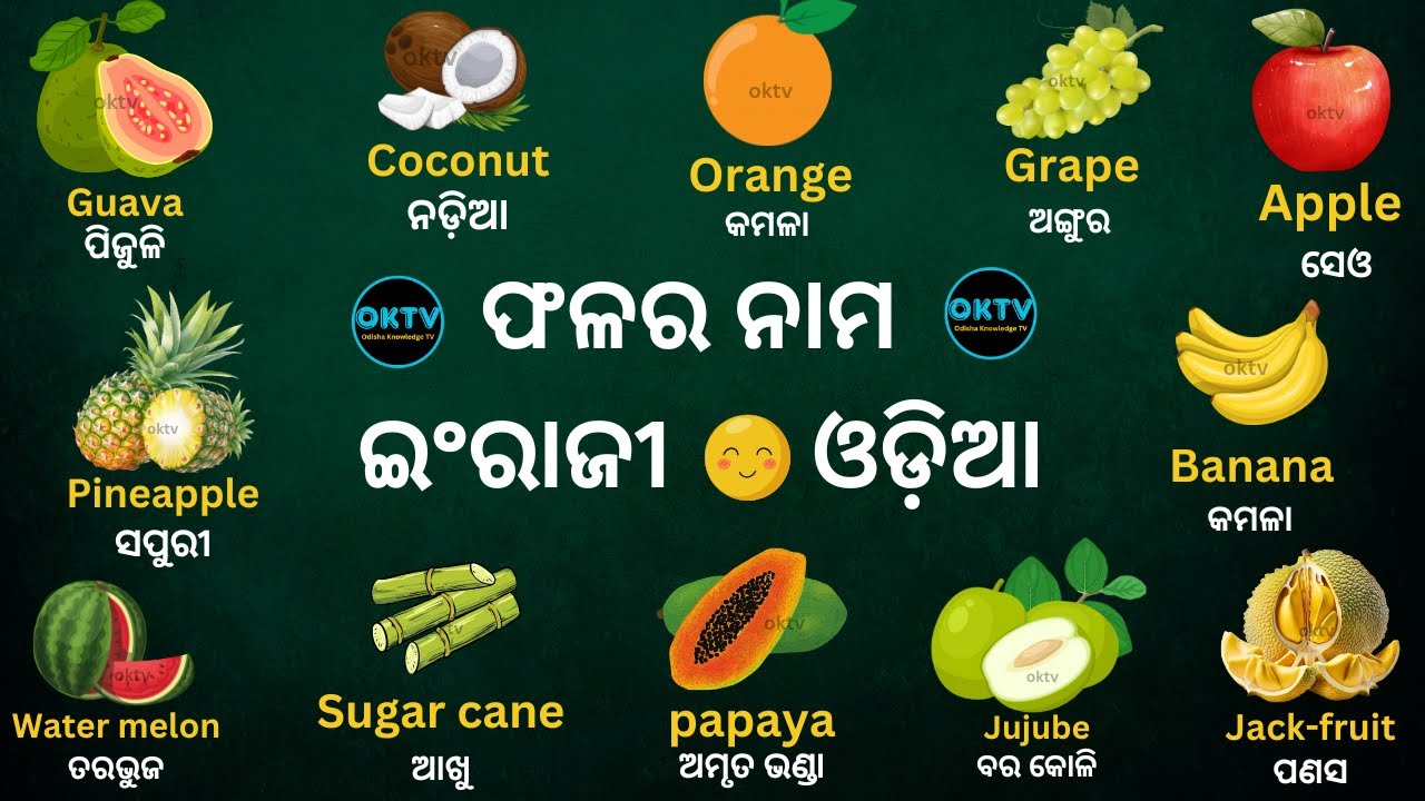 Top 30 Fruits name English to Odia with spelling and meaning for kids  OKTV @OdishaKnowledgeTv