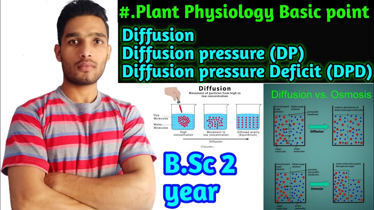 Diffusion||Diffusion pressure|| Diffusion pressure deficit||DP, DPD||Plant physiology B.Sc 2year