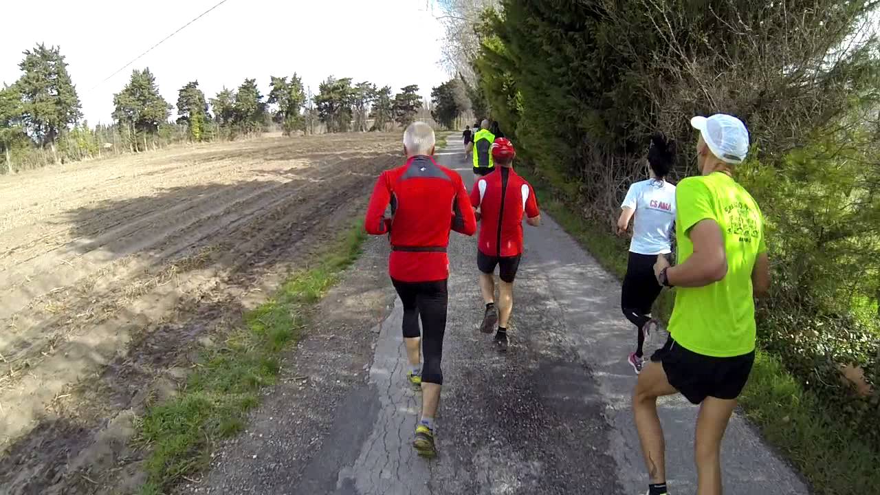 5km LE THOR Foulée du Chasselas 2013