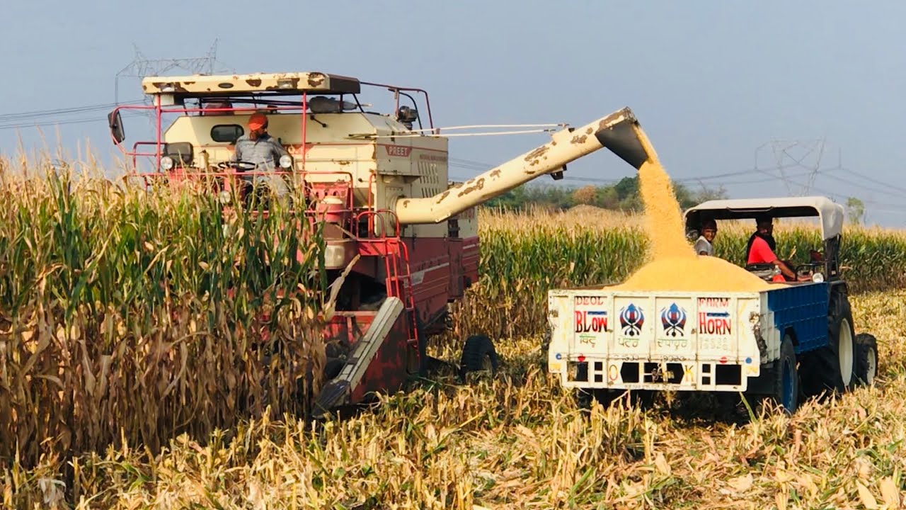 Corn Harvesting Machine / मकई फसल की कटाई मशीन / Preet 987