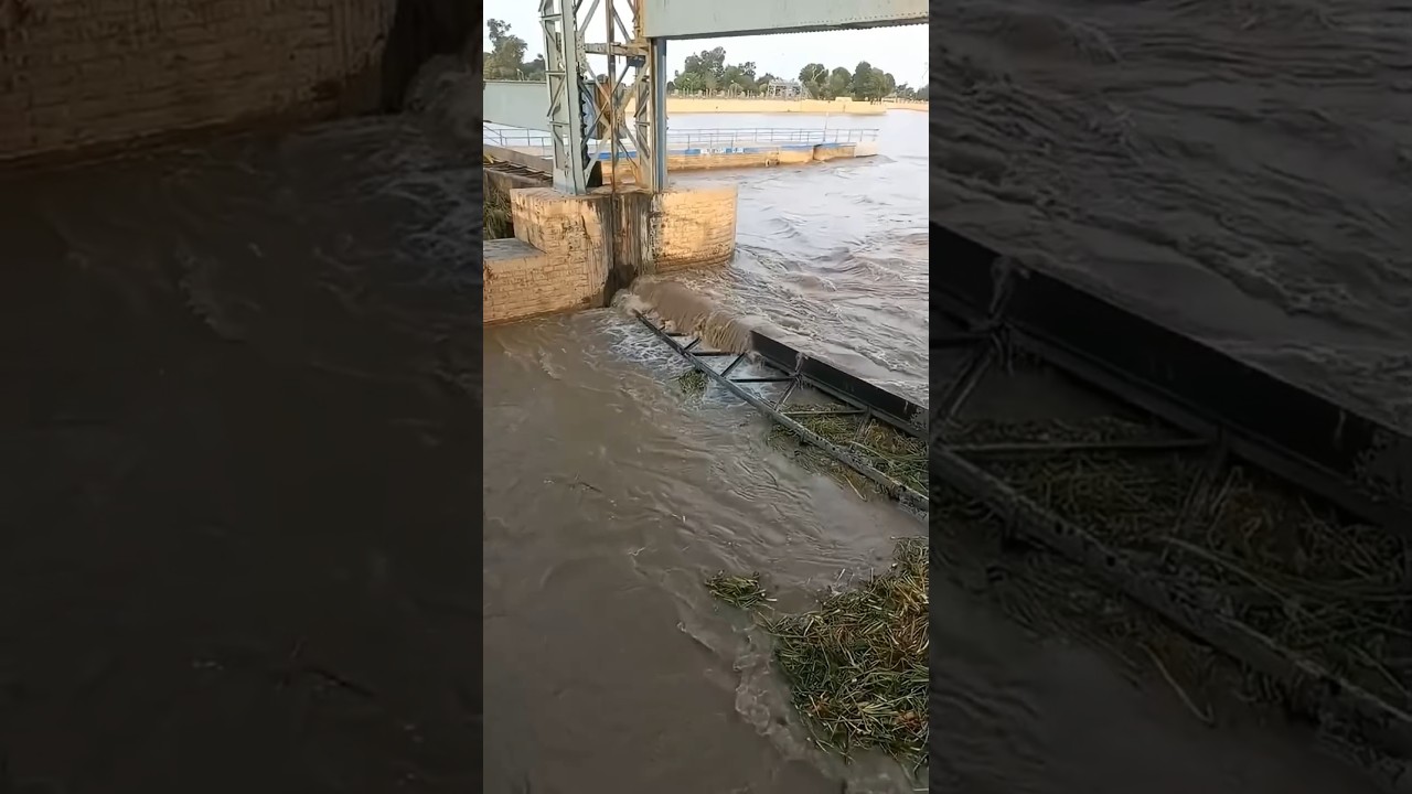 Terrifying Flash Flood Moments | Real Footage #viral #trending #floods #disaster #flood #nature