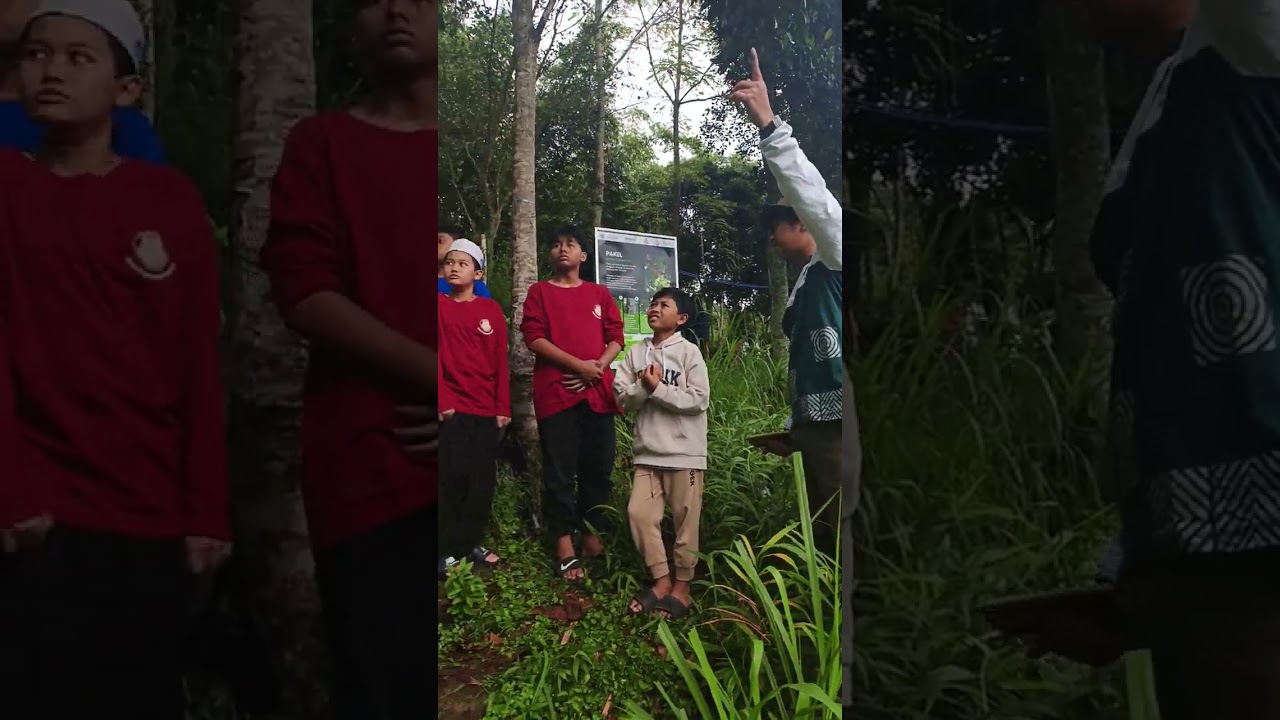 MENGENAI FLORA LOKAL DESA MENARI