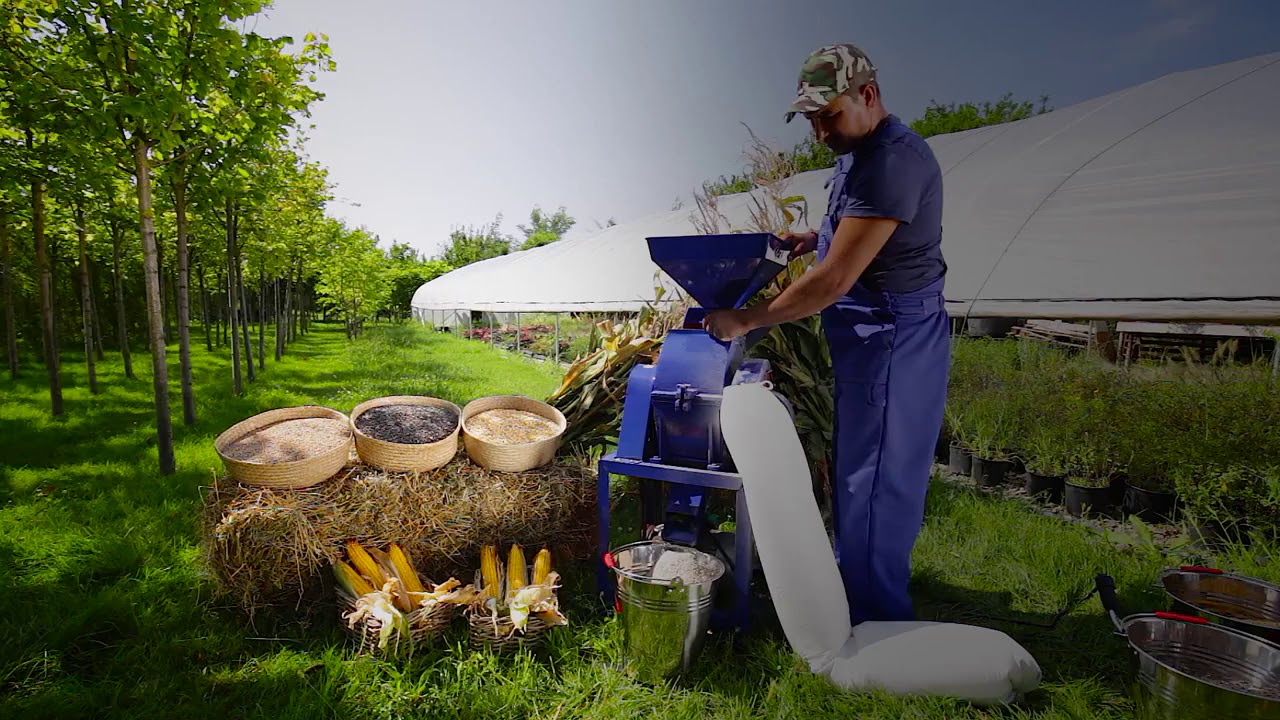 Moara electrica universala cu 36 ciocanele - GF 0892 - UnelteMania