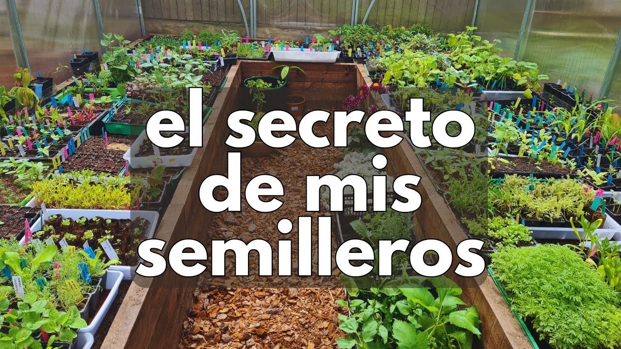 El MEJOR sustrato para SEMILLEROS 🌺