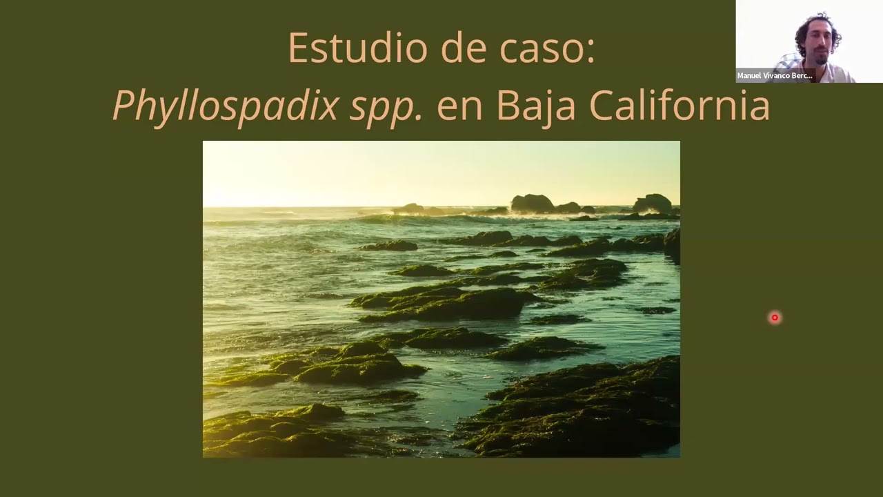 Pastos marinos frente al cambio climático