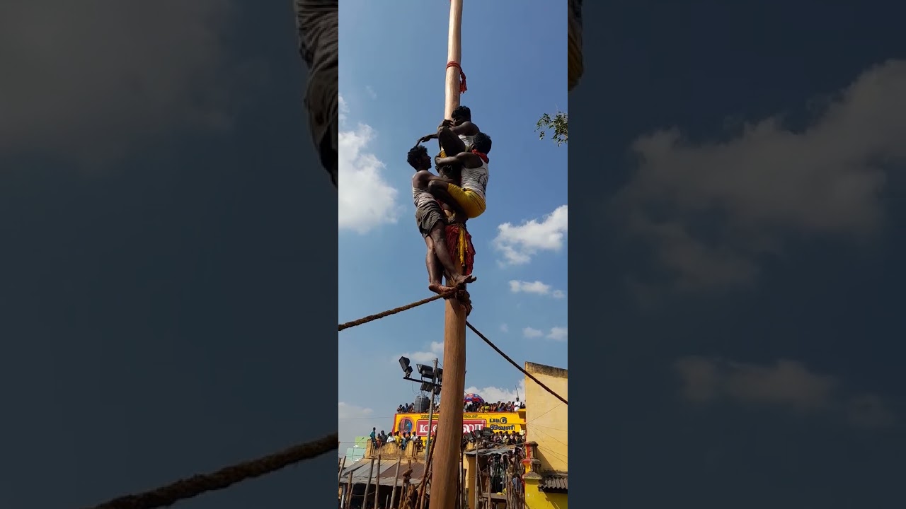 நத்தம் ஸ்ரீ மாரியம்மன் கோவில் கழுகு மரம் 🌲 வழுக்கு மரம் 🌲 ஏறி முடிந்த வீடியோ