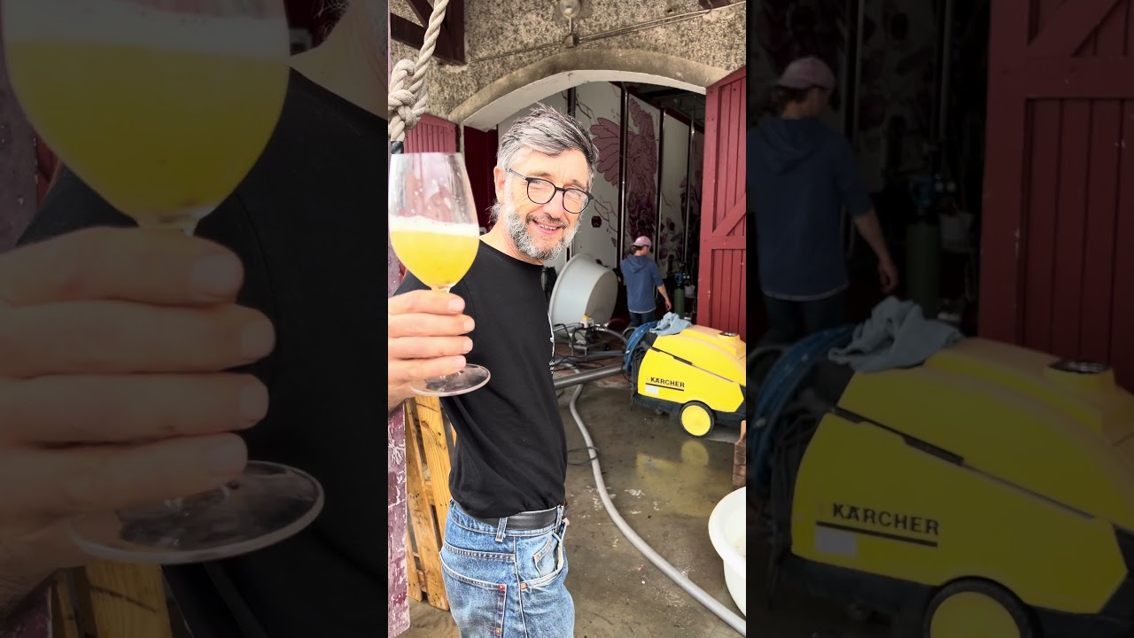 Comment fait-on du #vinblanc ? Etapes cl&eacute;s de notre 1er #vin blanc #vinbio @chateauanthonic #wine