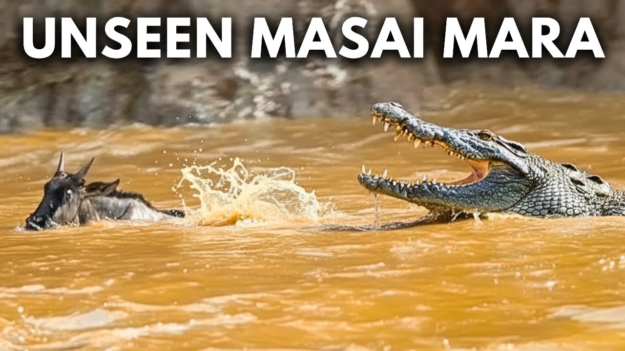The Most Unbelievable Wonders of Masai Mara | Documentary