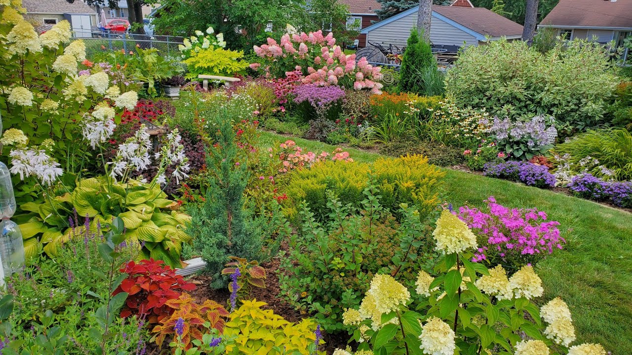 Northern Climate Mid-August Garden Tour