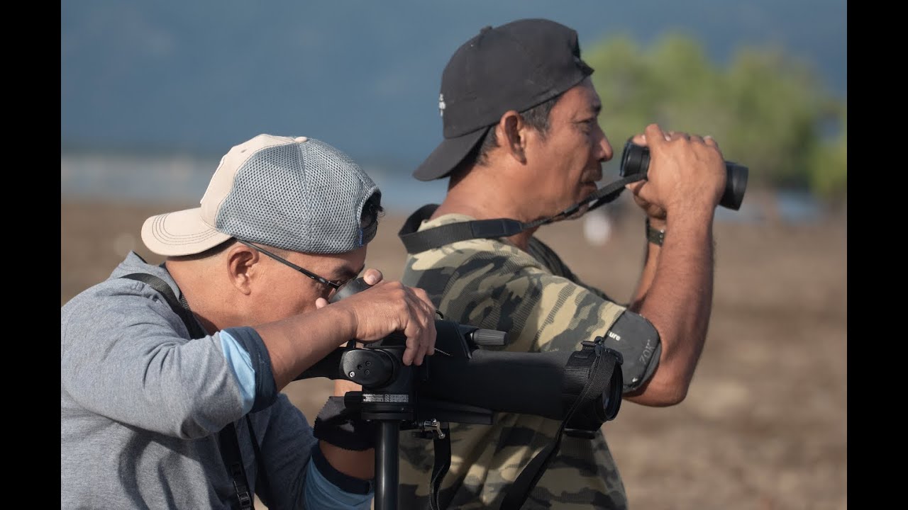 Oceanus Conservation - Community-led Mangrove and Migratory Bird Conservation Project