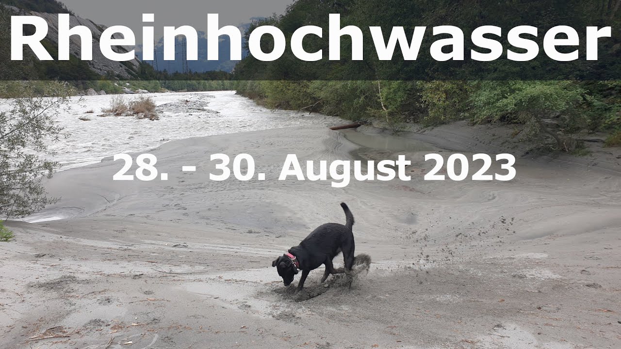 Rheinhochwasser August 23