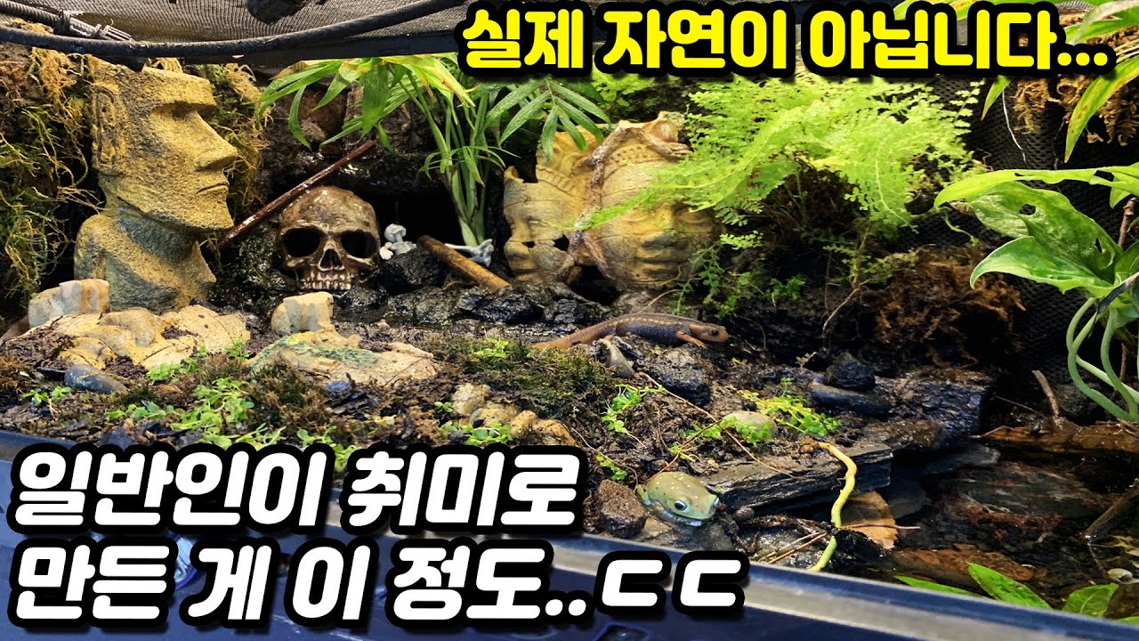 덕후가 만든 비바리움 클라스..ㄷㄷ 방 안에 이렇게 두고 동물을 키운다고??